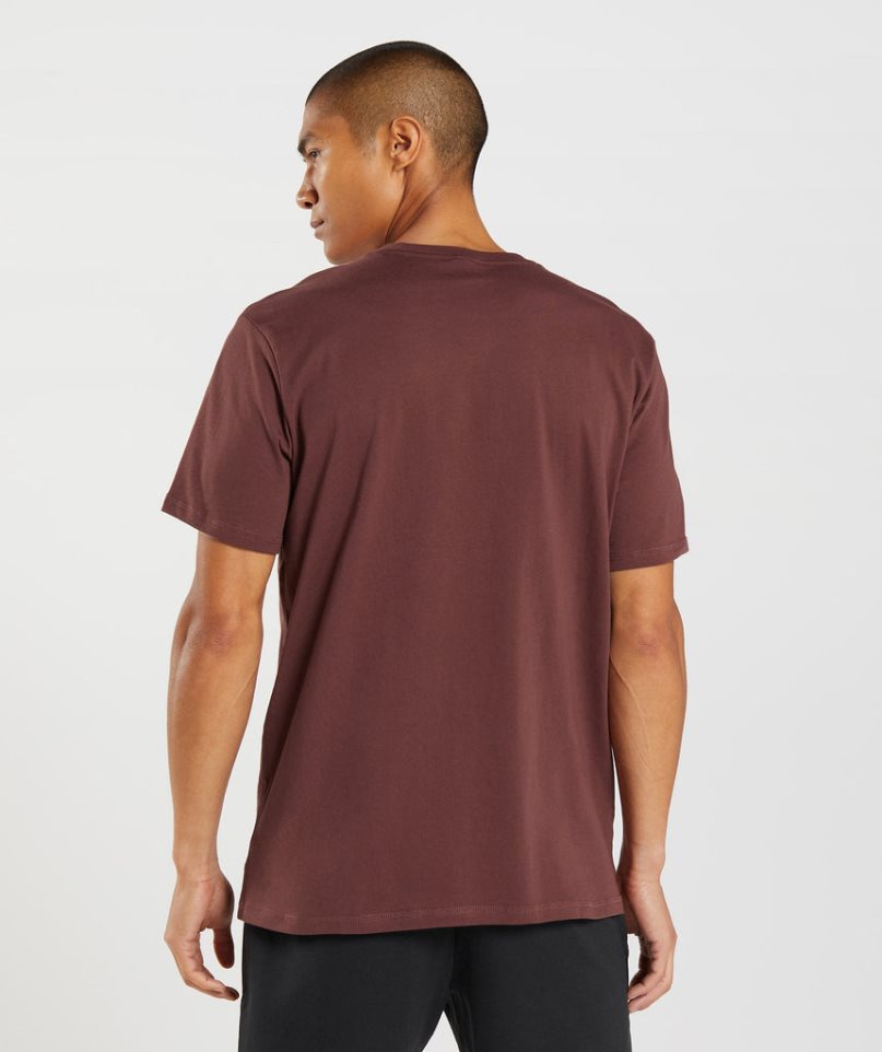 Men's Gymshark Sharkhead Infill T-Shirts Brown | NZ 0JCGVO